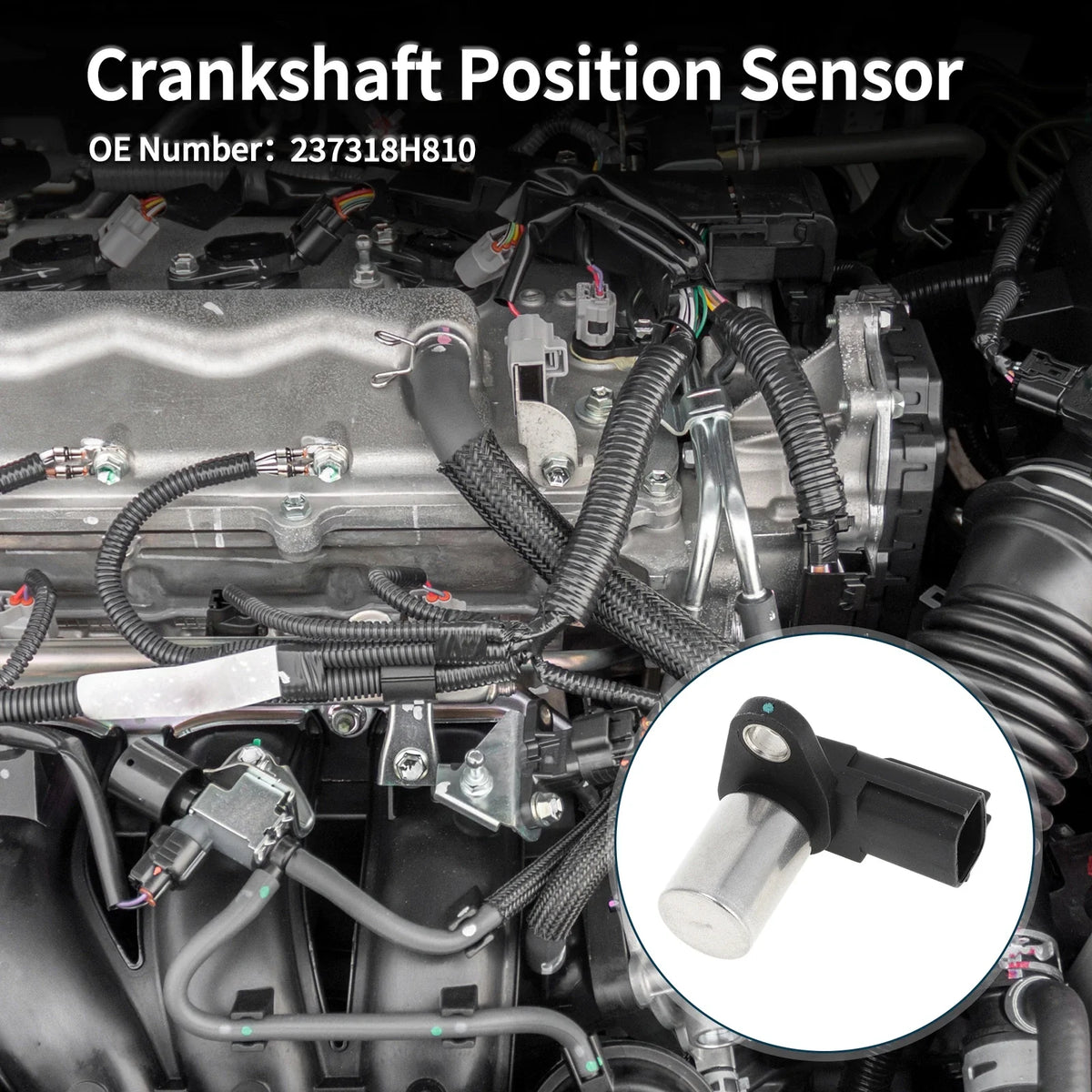 Crankshaft Position Sensor for Nissan X-Trail 2.2DCi (2001–2004) No. 237318H810