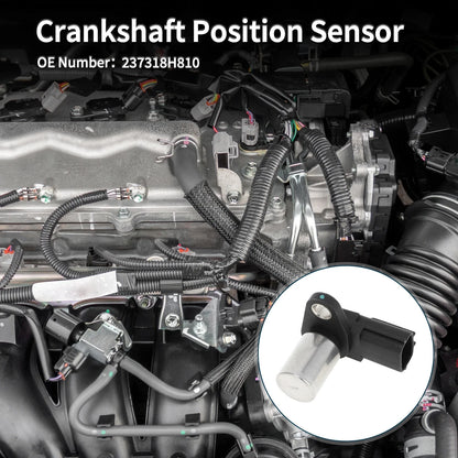 Crankshaft Position Sensor for Nissan X-Trail 2.2DCi (2001–2004) No. 237318H810