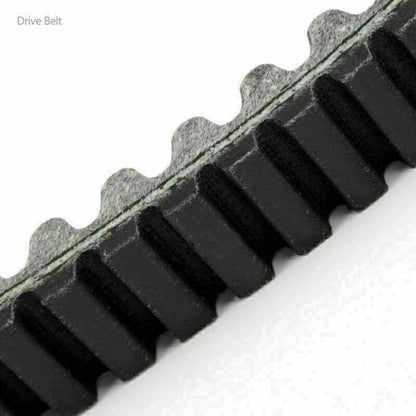 Drive Belt for Aprilia Sportcity Cube 250 300, Piaggio Beverly 250 300 (2007–2015) B013360 UK