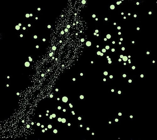 Glow-in-The-Dark Star Map for Northern Hemisphere (No Part Numbers)