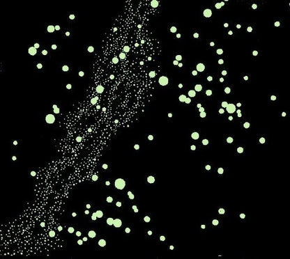 Glow-in-The-Dark Star Map for Northern Hemisphere (No Part Numbers)