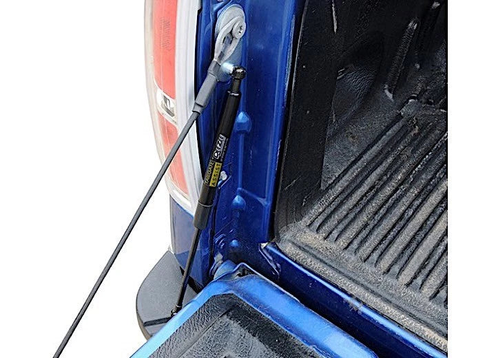 Dee Zee Tailgate Assist for Ford F150 (2015–2020) DZ43204