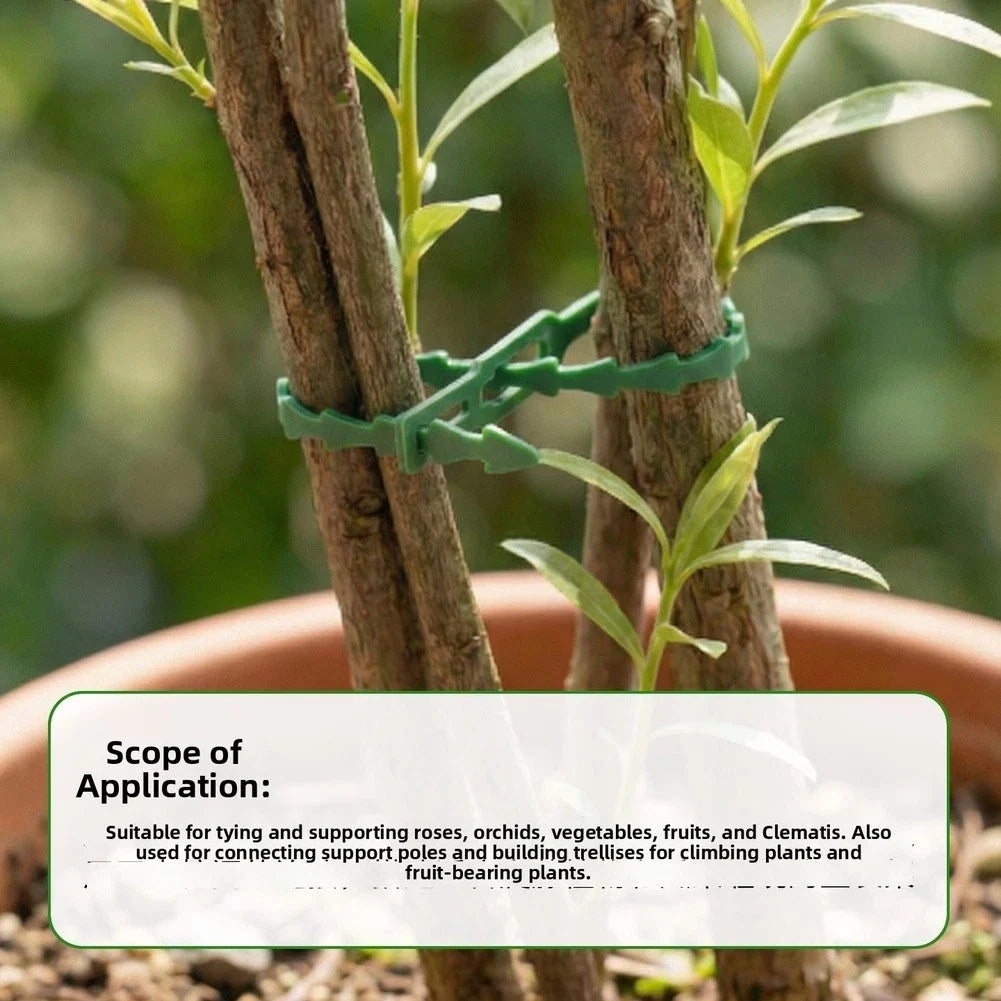 Set of 100 Reusable Green PP Plant Ties for Cable Pipe (17cm x 0.73cm x 0.15cm)