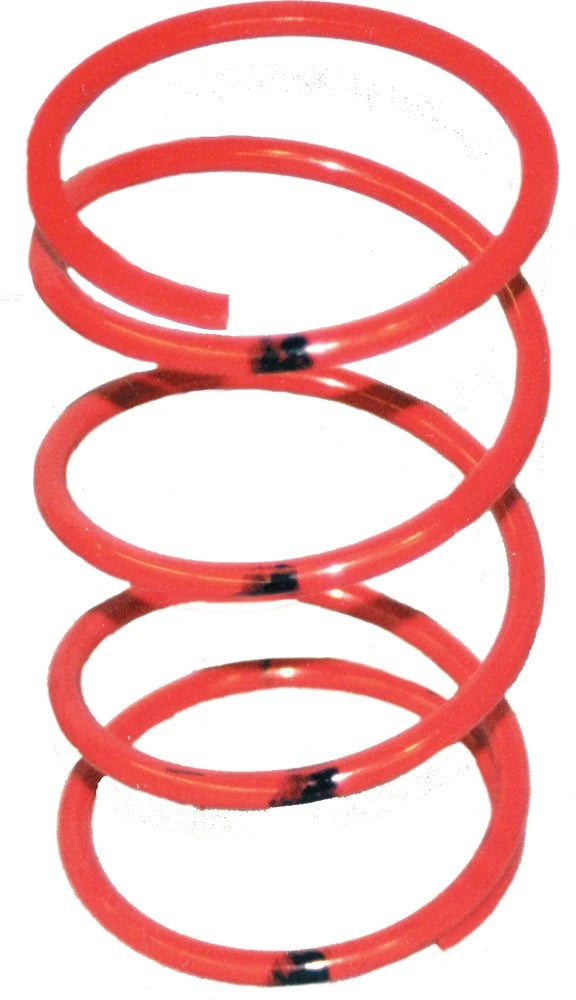 Tied Secondary Clutch Spring for (210181)