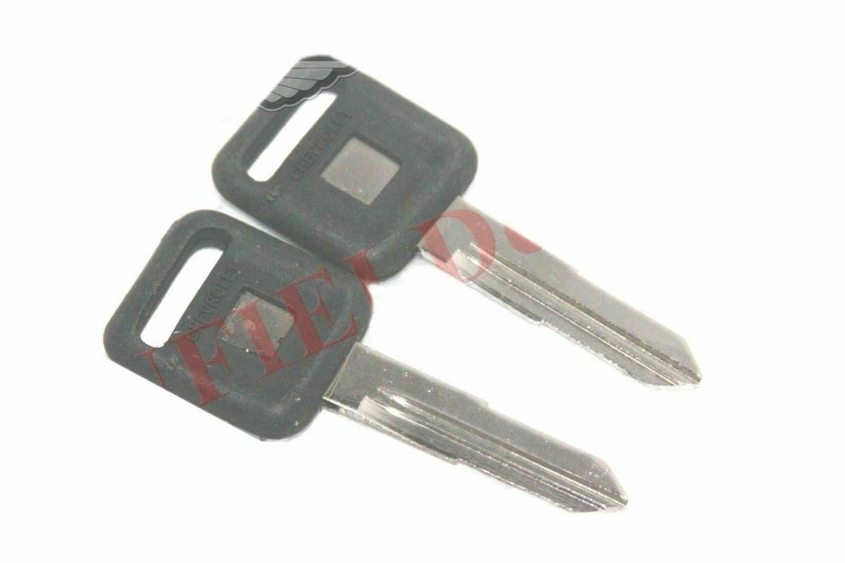 2X Uncut Blank Ignition Keys for Chevrolet Tavera
