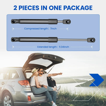 Trunk Lift Supports Struts for Dodge Challenger (2008–2021)