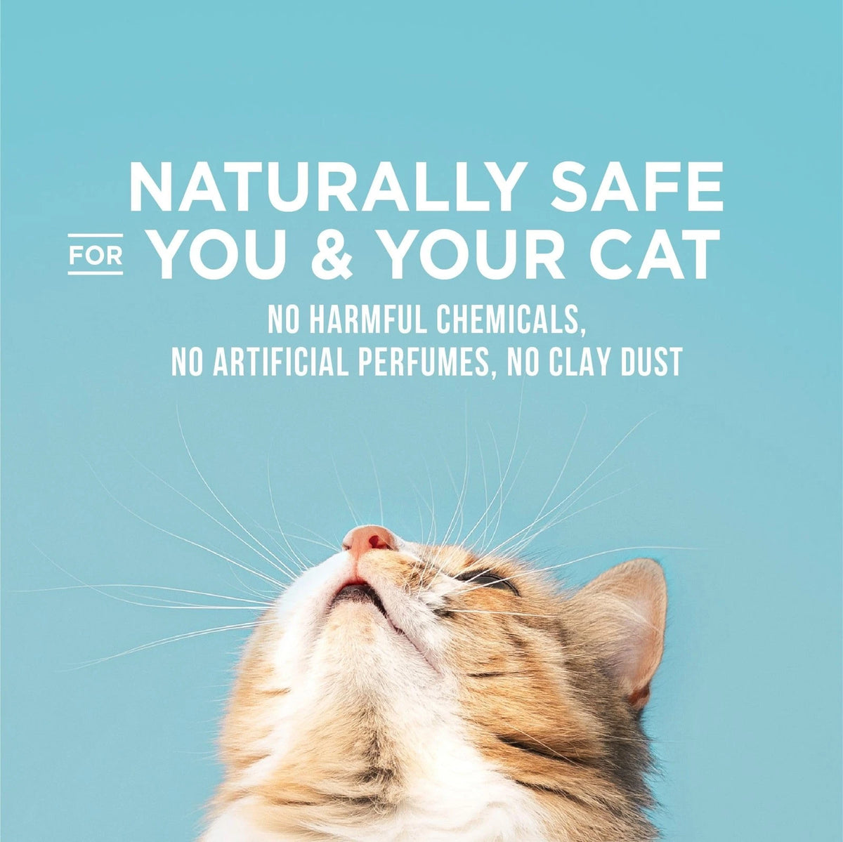 15lb Poop Fighter Maximum Odor Defense Cat Litter