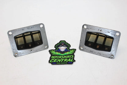 Reed Valve Assembly Set for Kawasaki SX X2 TS SC Jetmate 650 (1988–1996)