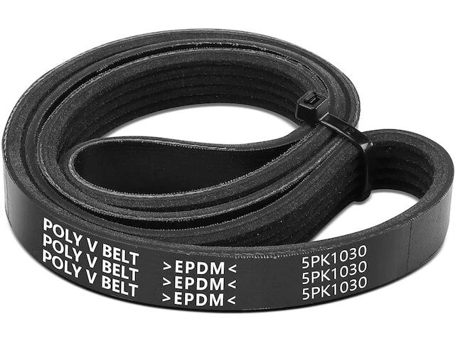 Accessory Drive Belt for Mazda Protege (1999–2003) NF243YB