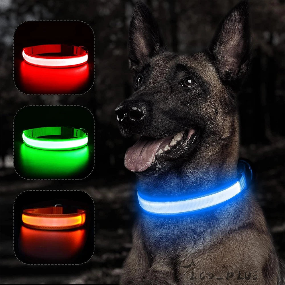 LED Dog Collar for Pets - Adjustable Night Flashing Light Up Safety