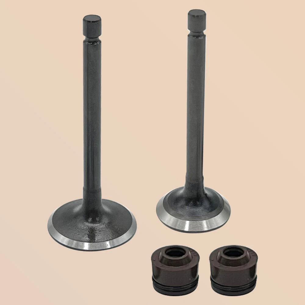 Engine Intake & Exhaust Valves Kit for Yamaha TTR125LE (2003–2018) 5VL-E2111-00-00, 5HH-E2121-00-00