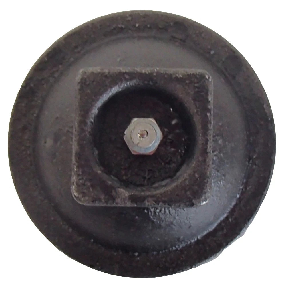 Hub Cap for Landini