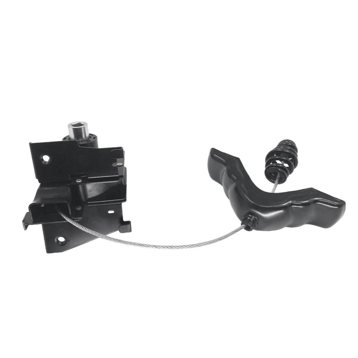 Spare Tire Carrier & Hoist Assembly for Ford F-150, Lobo (2004–2014)