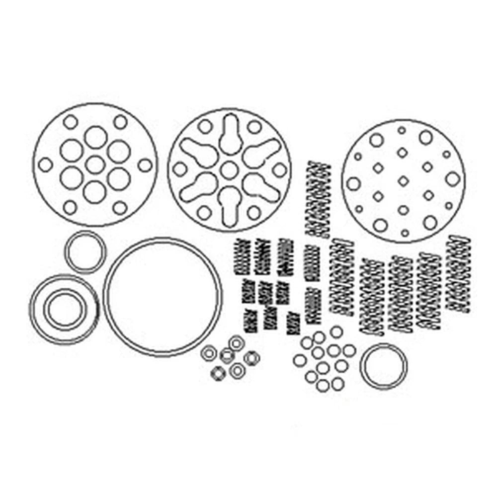 Hydraulic Pump Rebuild Kit for Ford - CCPN600AB