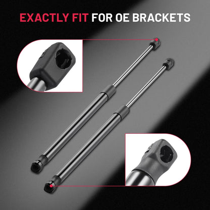 Hood Lift Supports Gas Shocks Struts for 2005–2010 Dodge Dakota (4.7L)
