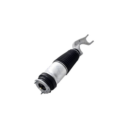 FCS Bare Strut for Tesla (2016–2021) 93016 Front Driver/Passenger Side