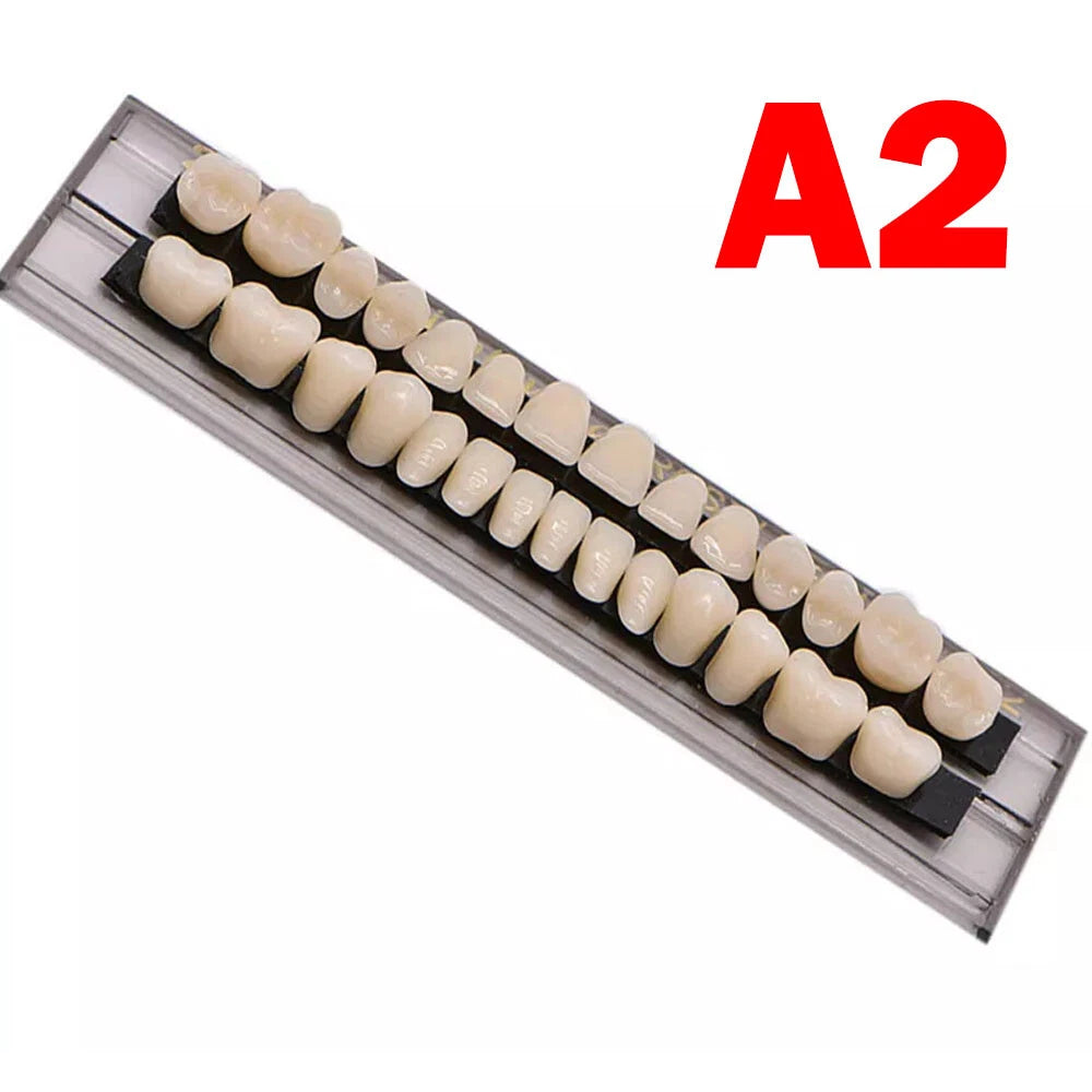 Set of 20 Acrylic Resin Denture Teeth Upper Lower Shade A2