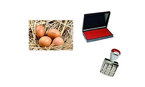 Egg Dater Kit with 3mm Rubber Date Stamp and Ink Pad