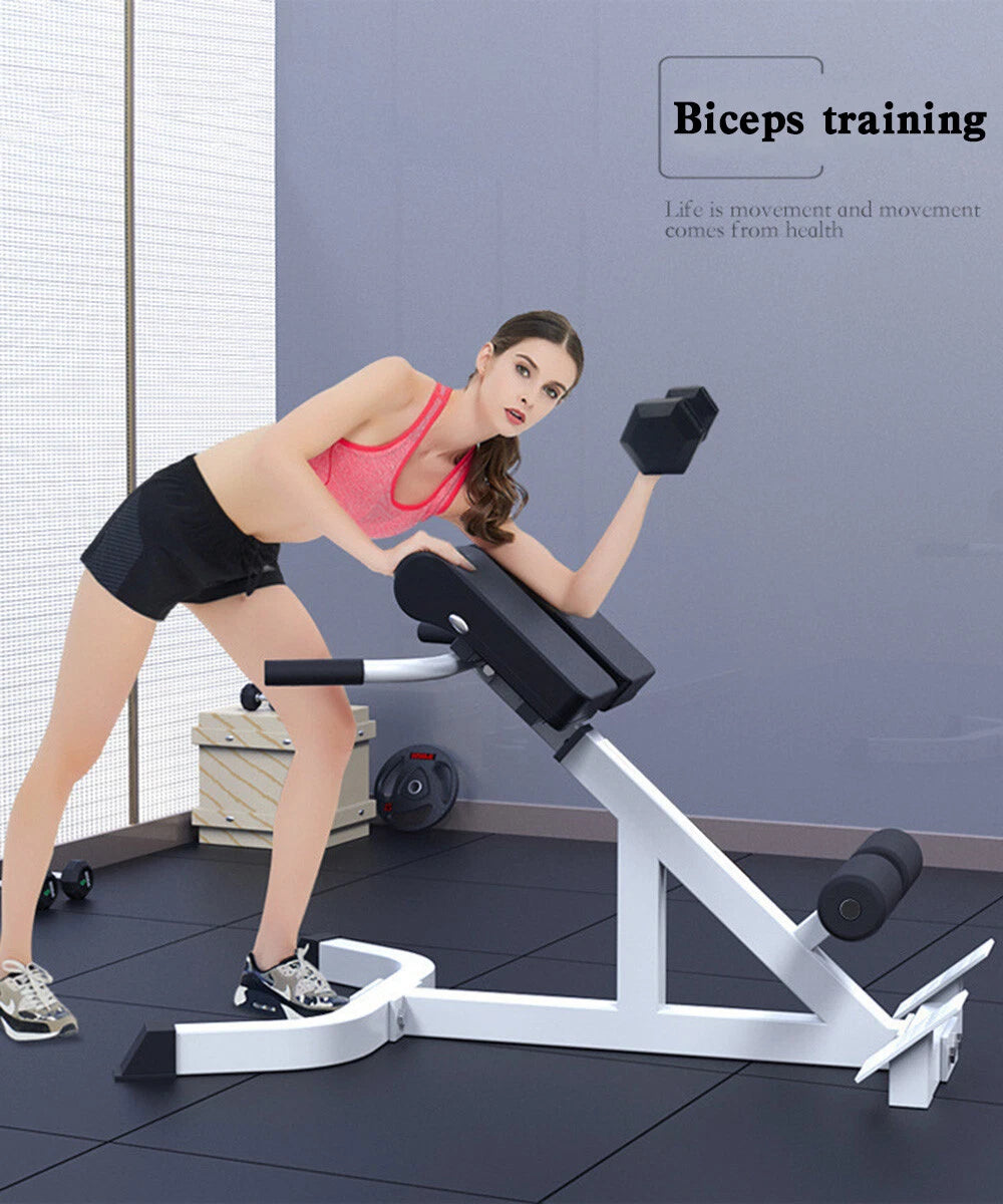 Adjustable Roman Chair Back Extension Bench for Exercise (2010–2023)