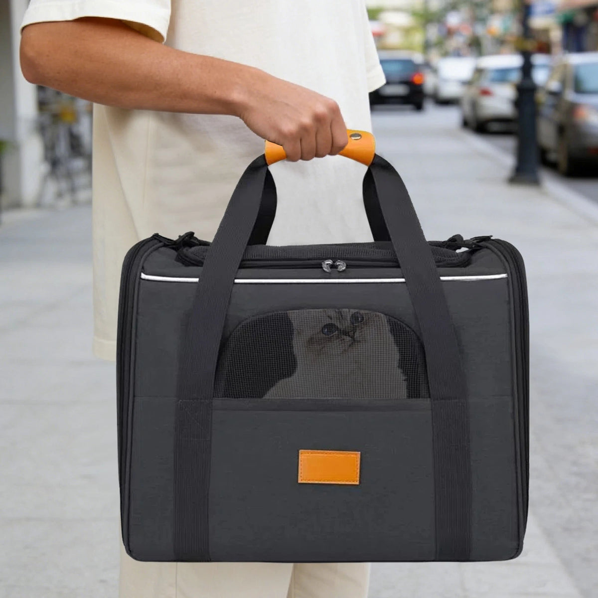 Foldable Cat Transport Bag for Cats and Dogs