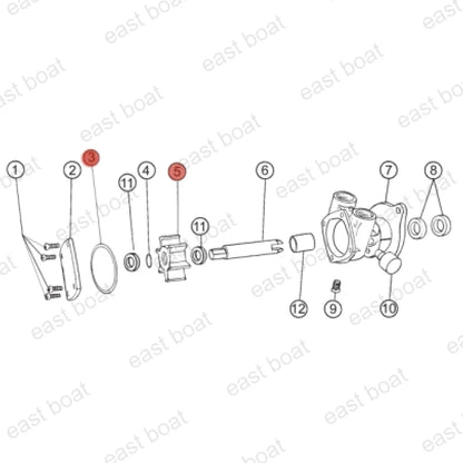 Raw Water Pump Impeller Kit for ONAN 8.0 MDKD & 4.0 MDKC & 6.5 MDKD & 3.5 MDKC (132-0316, 132-0315)