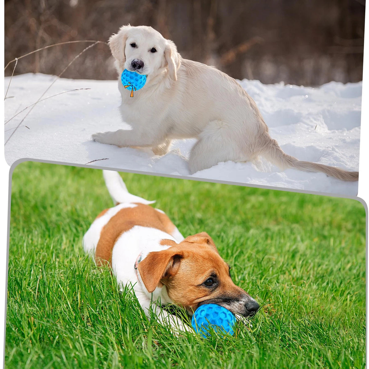 Indestructible Squeaky Dog Toys for Aggressive Chewers - Blue