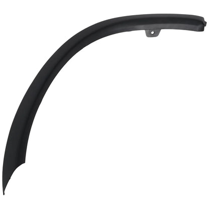Fender Trim Molding for Passenger Right Side (Front/Rear)
