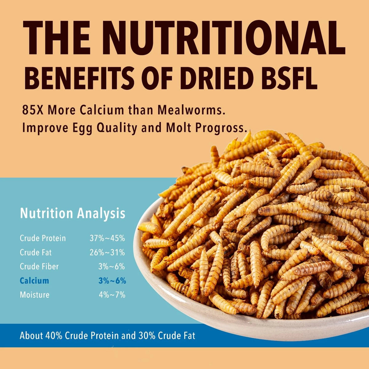 11LB Dried Black Soldier Fly Larvae for Chicken (Pack of 1)