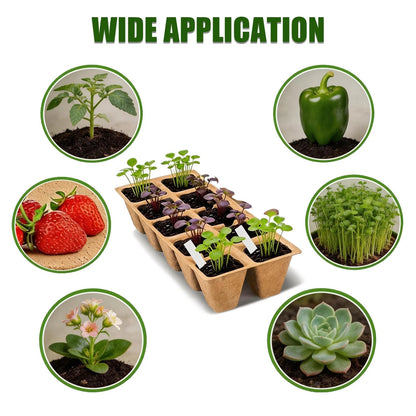 Set of 20 Biodegradable Seedling Trays for 200 Cells