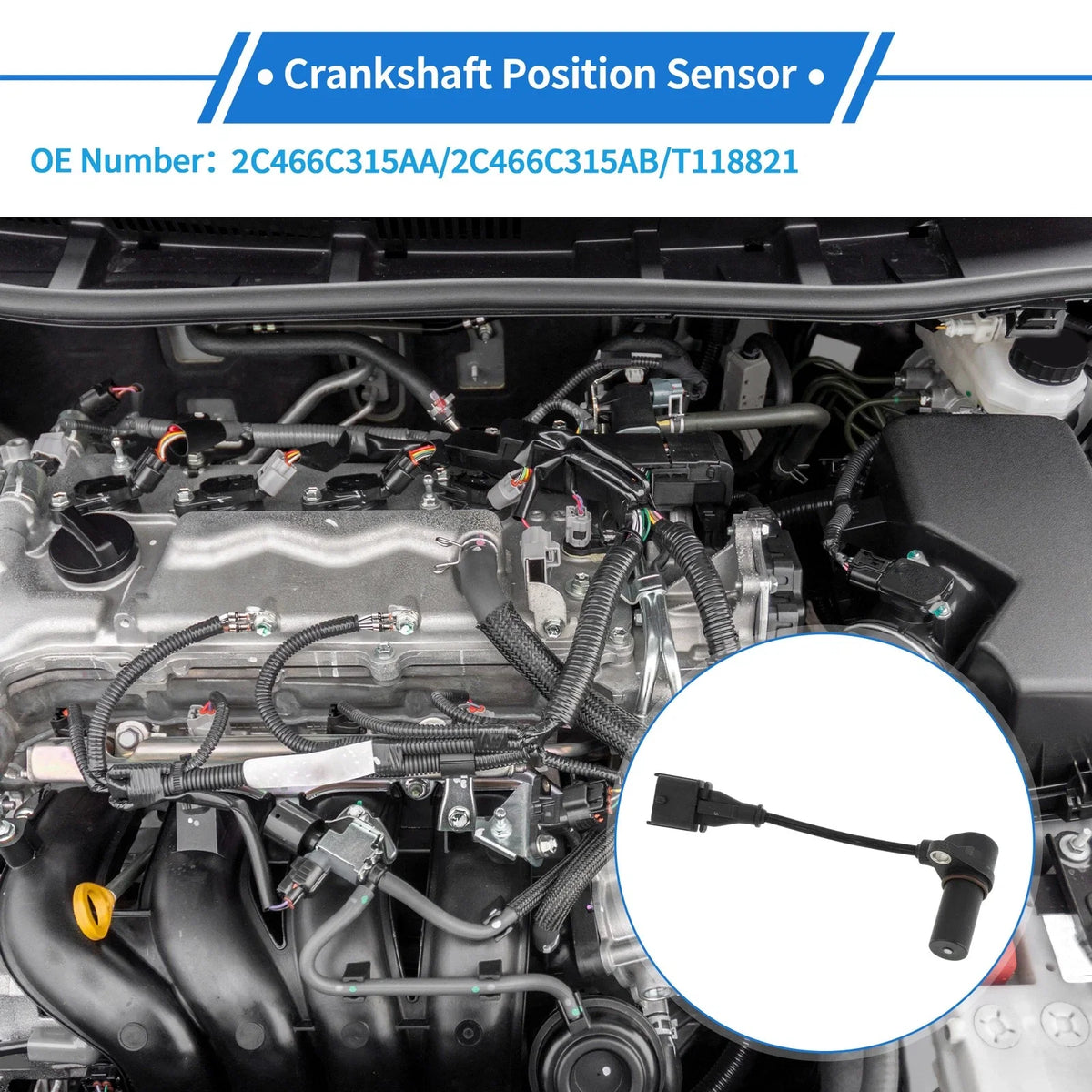 Crankshaft Position Sensor for Ford (1 Pc, No.2C466C315AA)