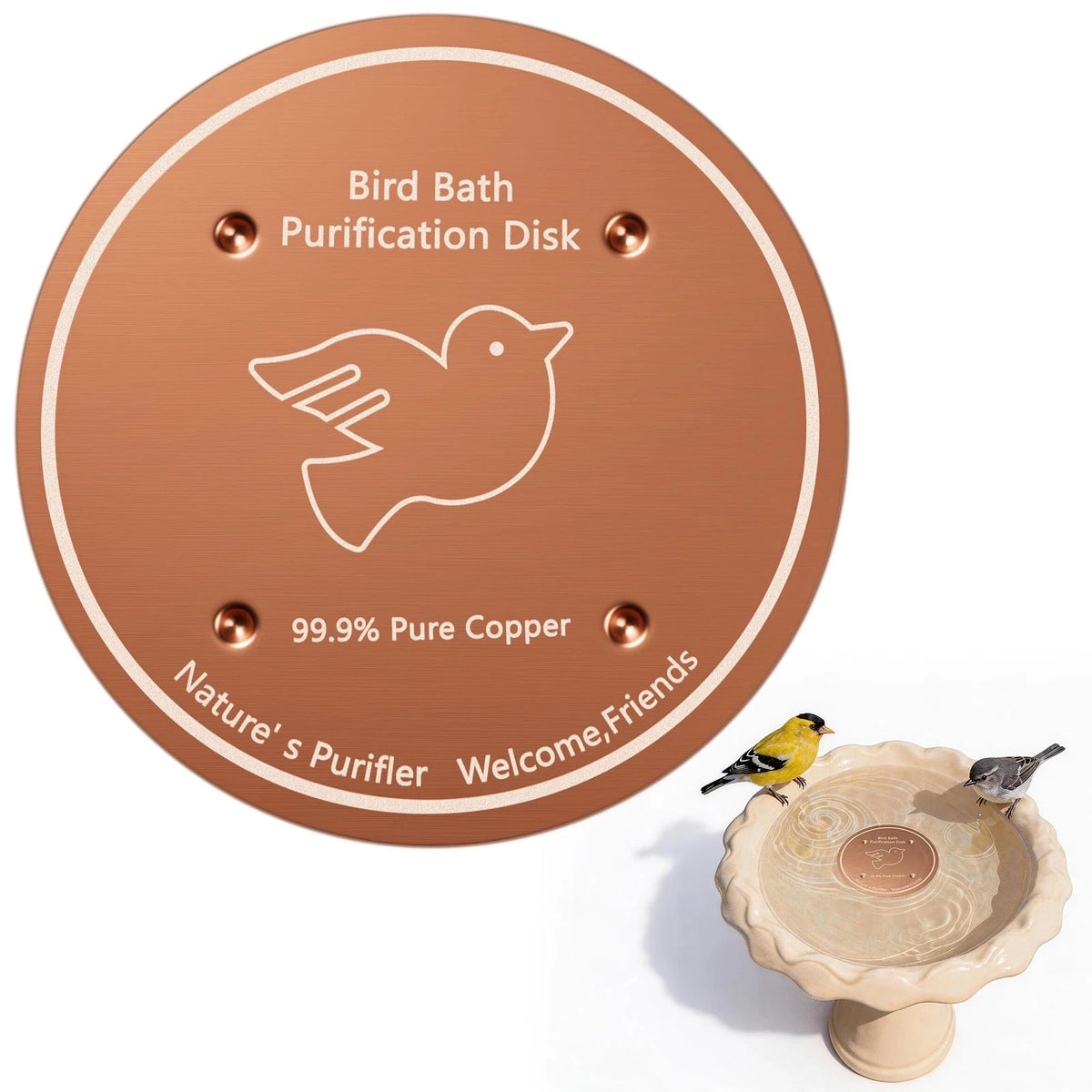 Copper Bird Bath Disk for PICURA (1 Pack)