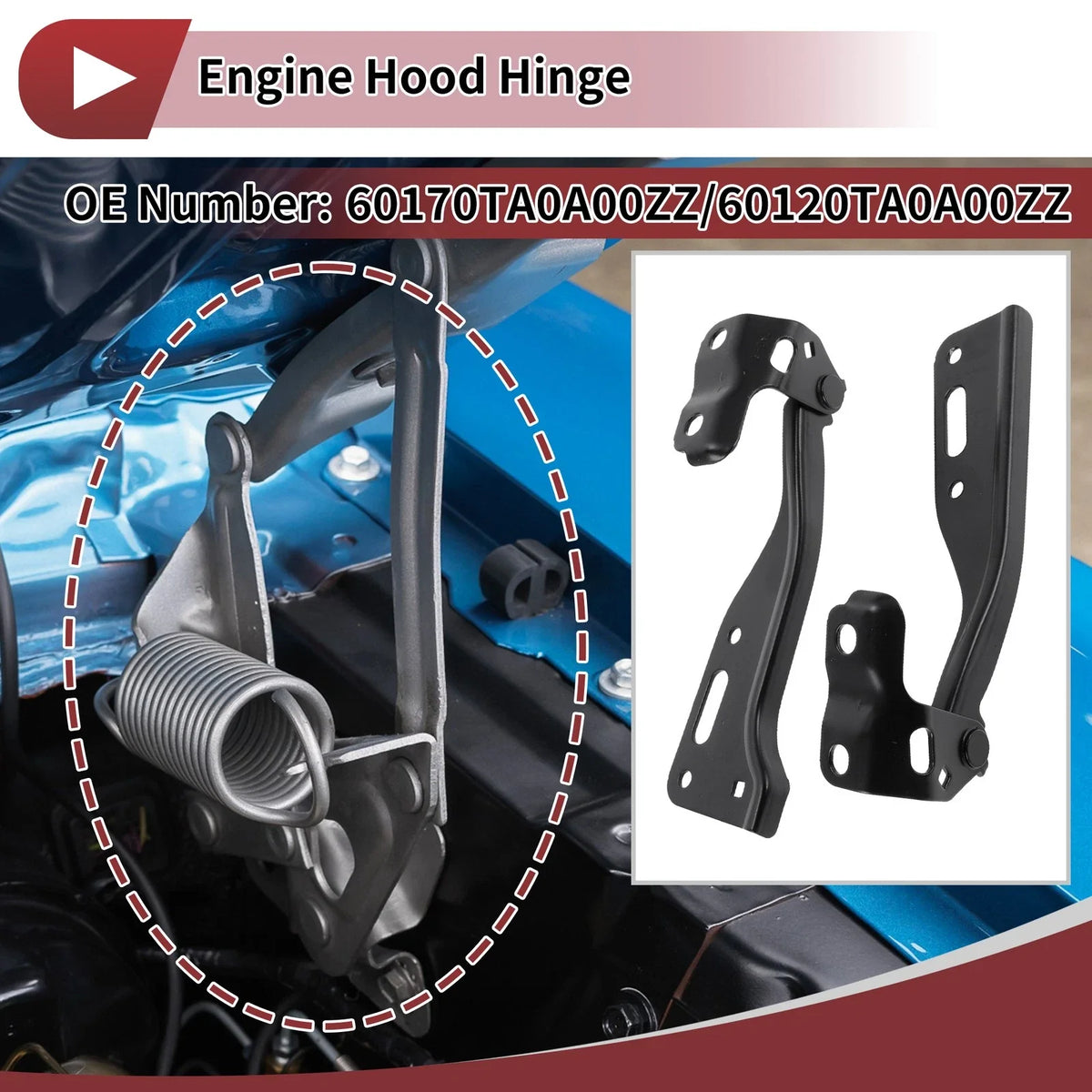 Hood Hinges for Honda Accord, Crosstour (2008–2012) - 60170TA0A00ZZ, 1 Pair