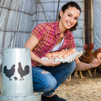 15 Pcs Farmhouse Chicken Stencils for Wood 6 Inches
