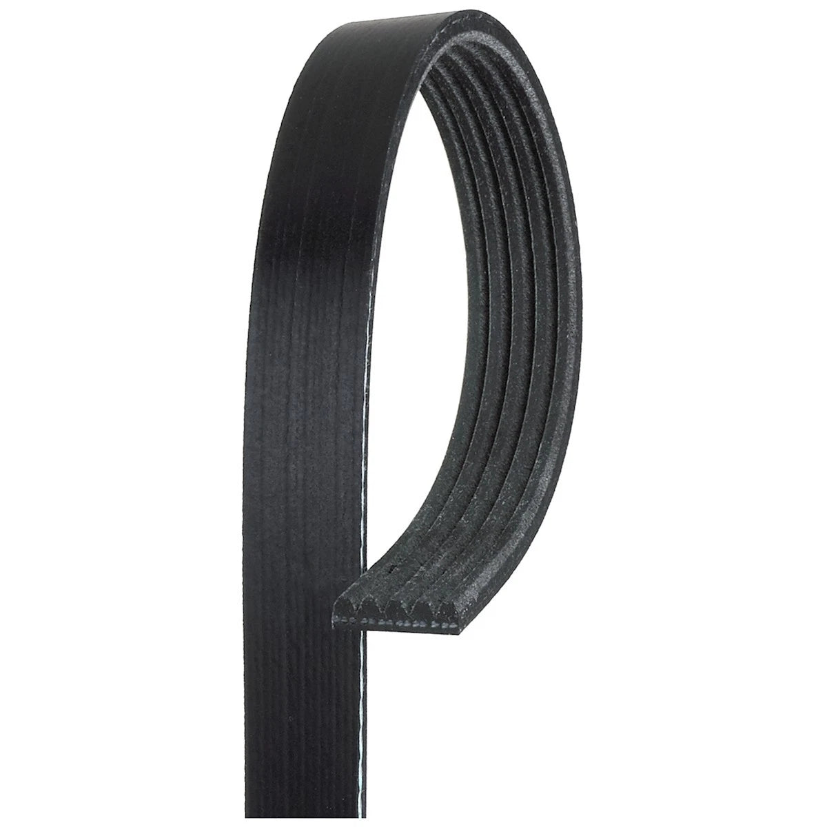 Serpentine Belt K050385 for BMW 5 Series, Audi S6 A8 Quattro (2000–2018)