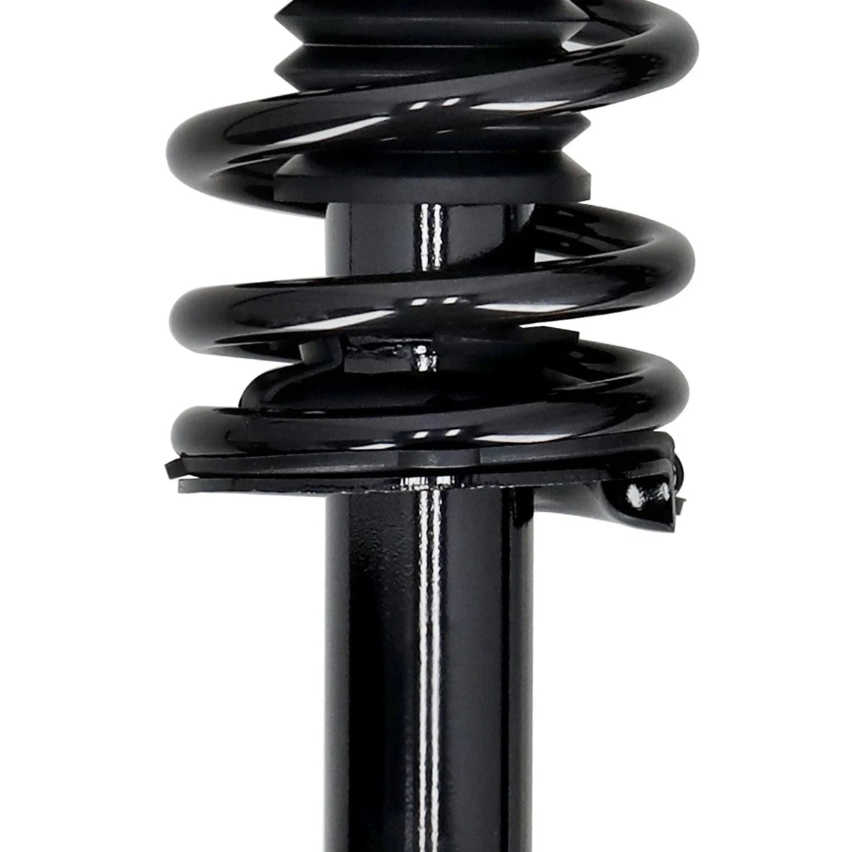 Rear Struts Shocks & Coil Spring for Honda Accord Acura TL (2003–2007)