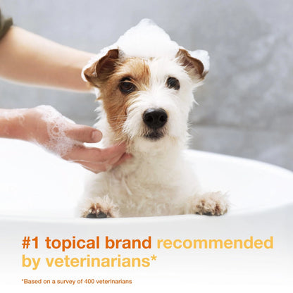 Douxo S3 Pyo Shampoo for Dogs (6.7 oz, 3% Chlorhexidine)
