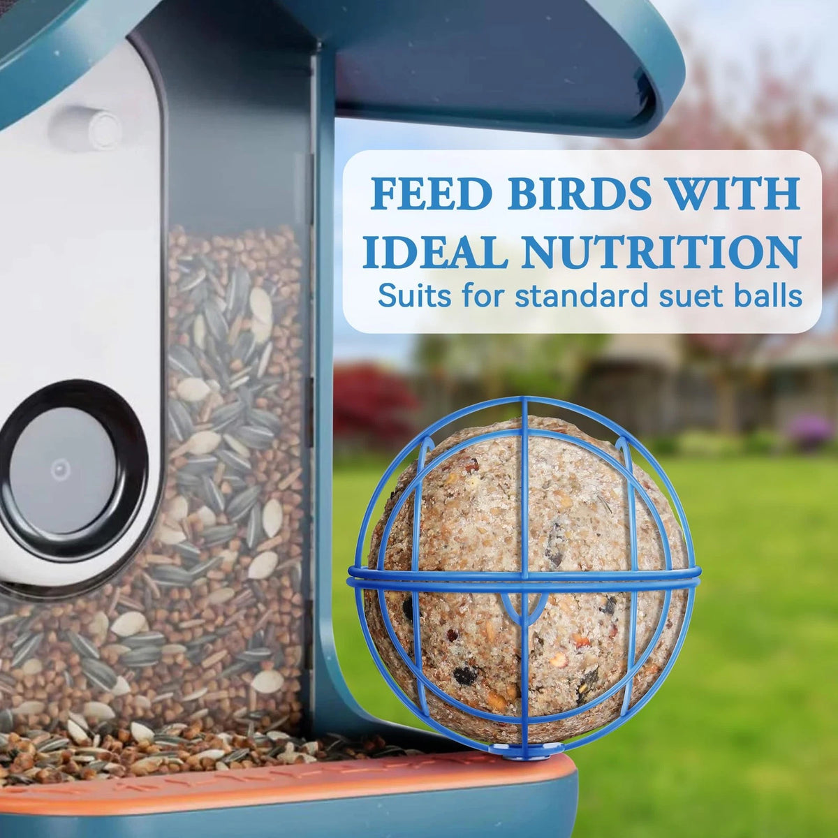 Metal Suet Ball Holder for Bird Buddy Smart Feeders (2023)
