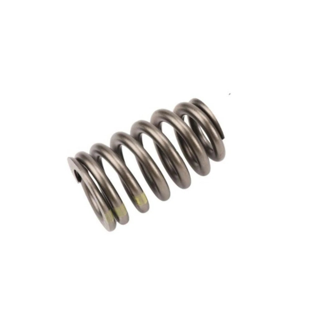 Valve Spring for Hummer H2 (2003–2009) OLX-ACD12706568-CL360A81