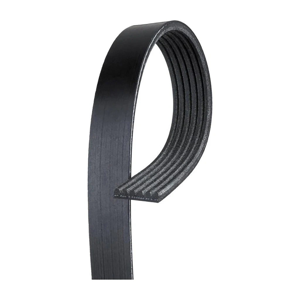 V-Ribbed Serpentine Belt for Kenworth T2000/T800 (2002–2003) OLX-ACD6K685-CL360A54