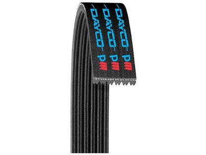 Multi Rib Belt for Nissan Altima (2019–2024) 97342RCZK