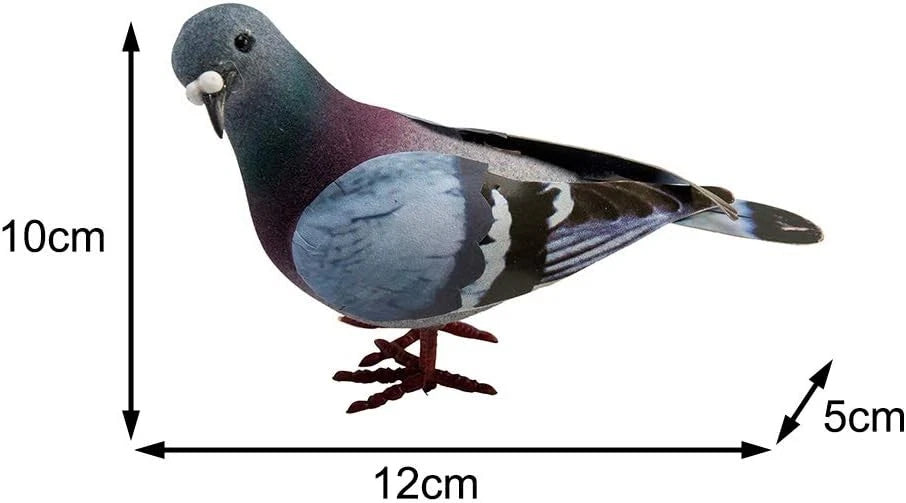 Simulation Foam Pigeon Model for Various Applications