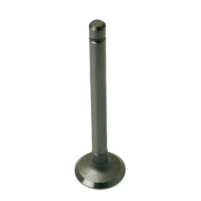 Exhaust Valve Screw-in Fuel Injector for Bobcat 733 743 1600 743B