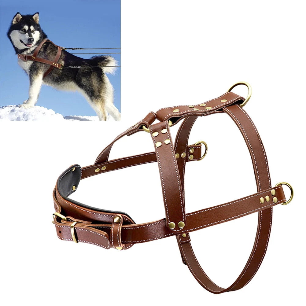 Large Brown Leather Dog Harness for Rottweiler (Adjustable)