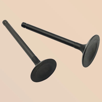 Intake & Exhaust Valve for Yamaha Bruin 350 Raptor 350 (2004–2013) 1UY-12111-01-00, 1UY-12121-01-00