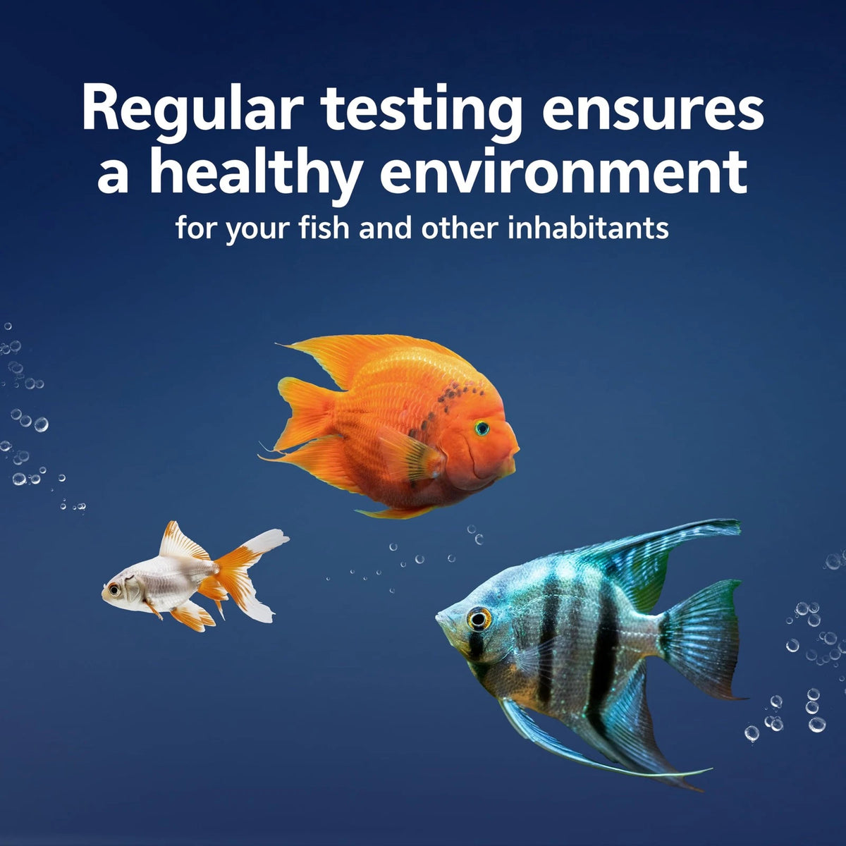 50 Count Aqueon 7-in-1 Aquarium Test Strips for Fast pH Results