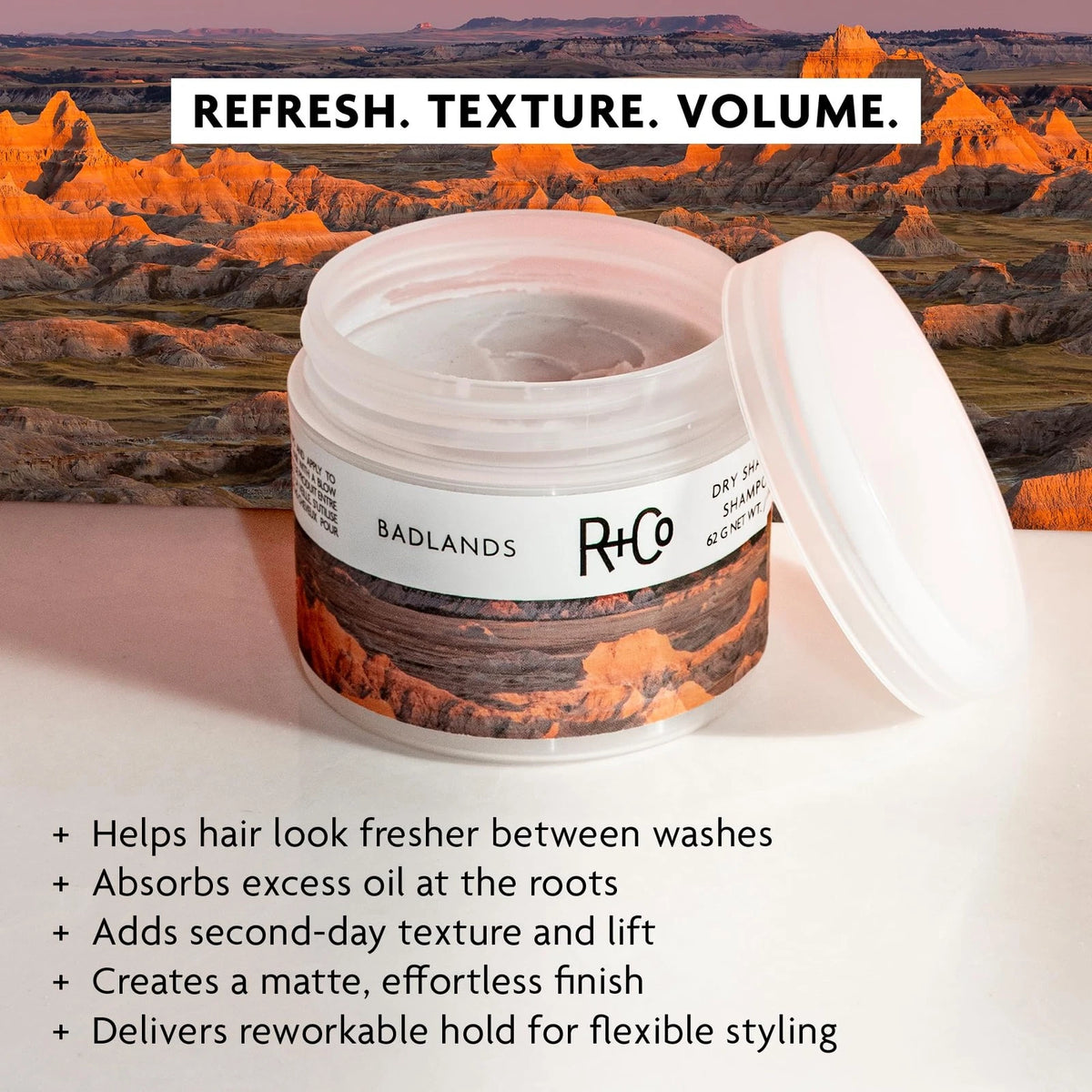 R+Co Badlands Dry Shampoo Paste for All Makes Models (Pack of 1)