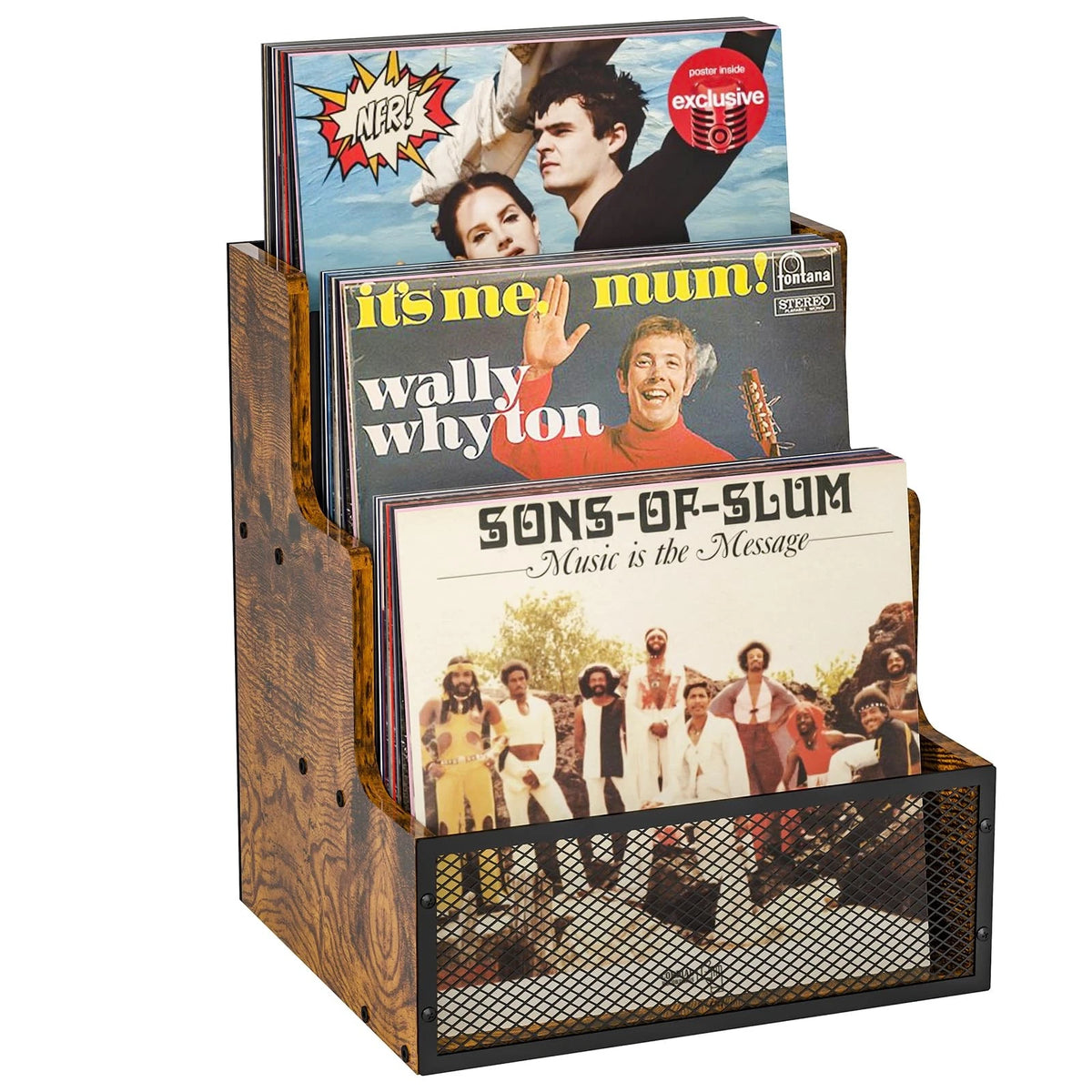 3 Tier Vinyl Record Storage Holder for Desktop - Holds 60 Albums