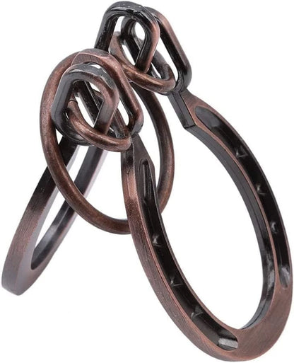 Puzzle Ring Brain Teaser Metal Horseshoe Game