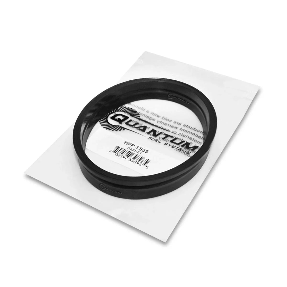 QFS EFI Fuel Pump + Tank Seal + Strainer for Sea-Doo RXP (2008–2011)