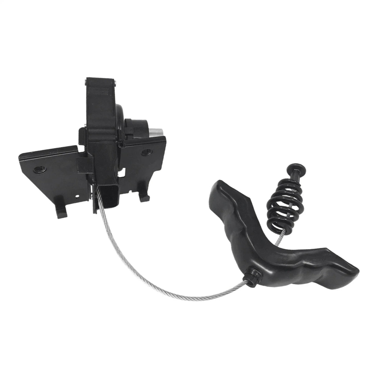 Spare Tire Carrier & Hoist Assembly for Ford F-150, Lobo (2004–2014)